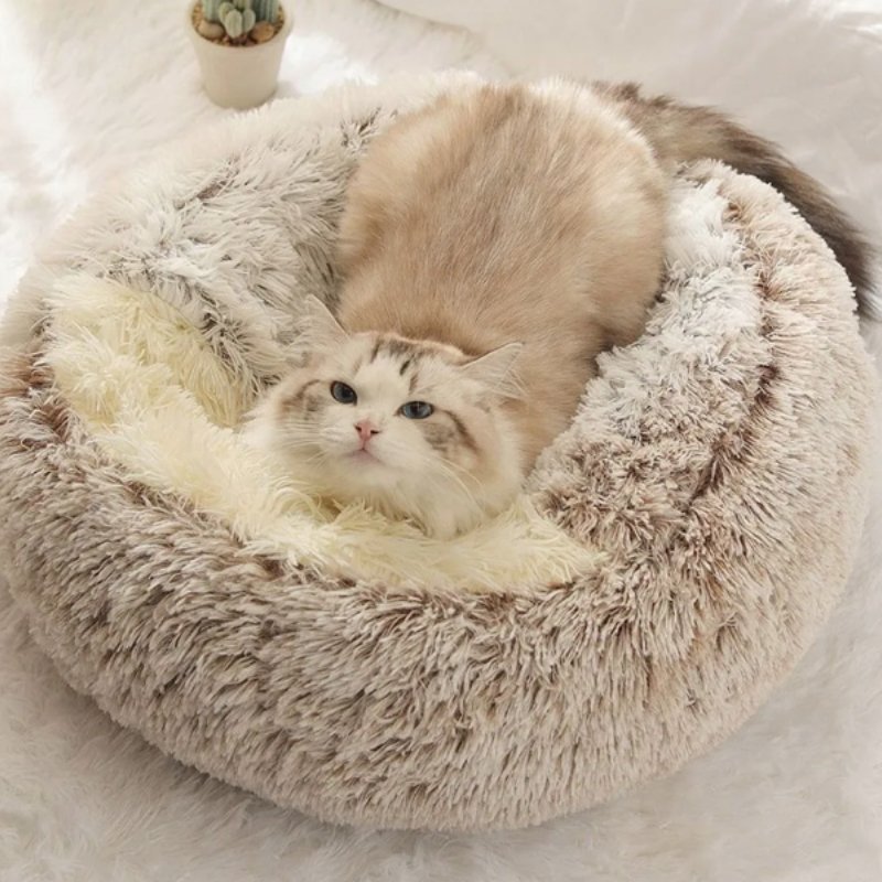 Lit Semi-Fermé Cozy Nest pour Chats et Petits Chiens